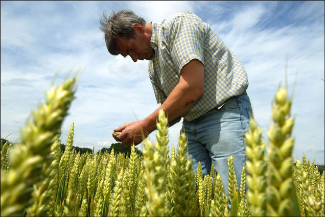 La agricultura del futuro producirá lo mismo con menos agricultores.